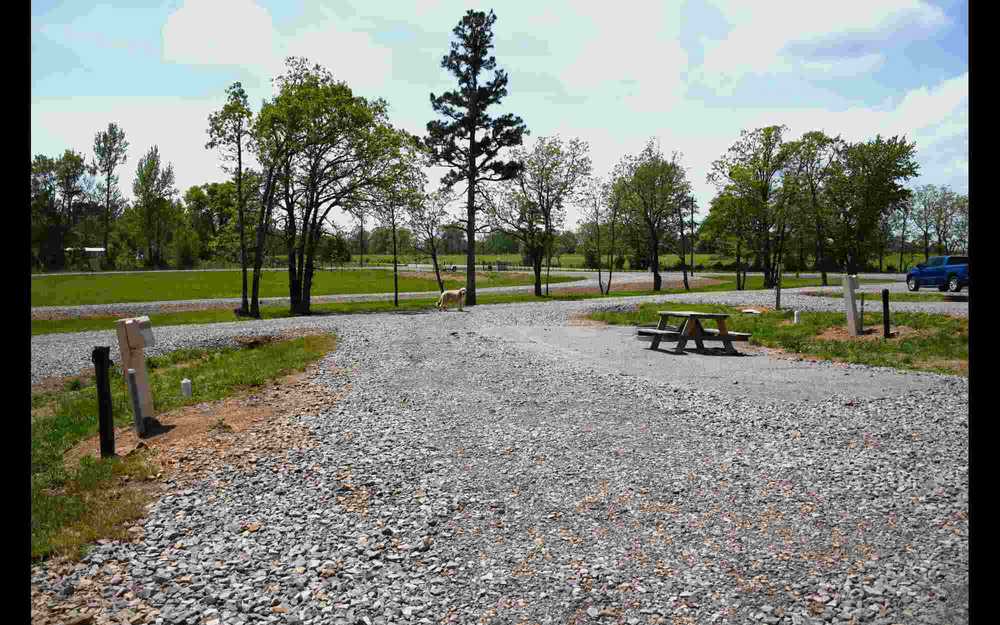 Park Image 6