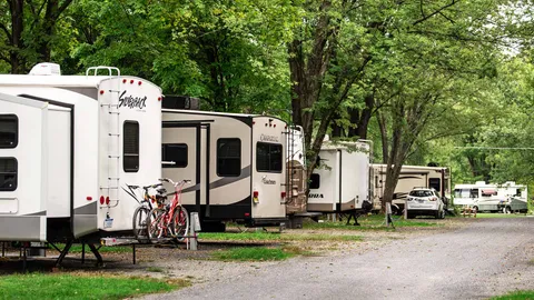 Premium Pull-Thru RV Site — image 5 of 5