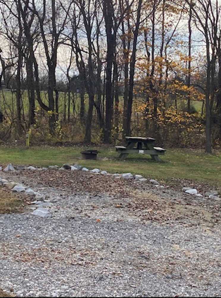 Electric Tent Site
