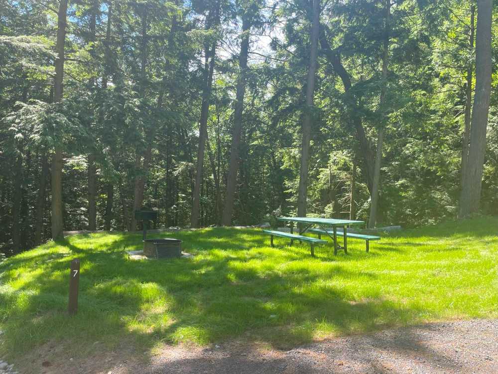 Singing Waters Campground, Greig, New York - Main Photo