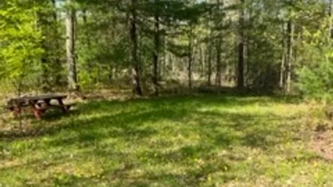 Rustic Tent Site — image 1 of 1