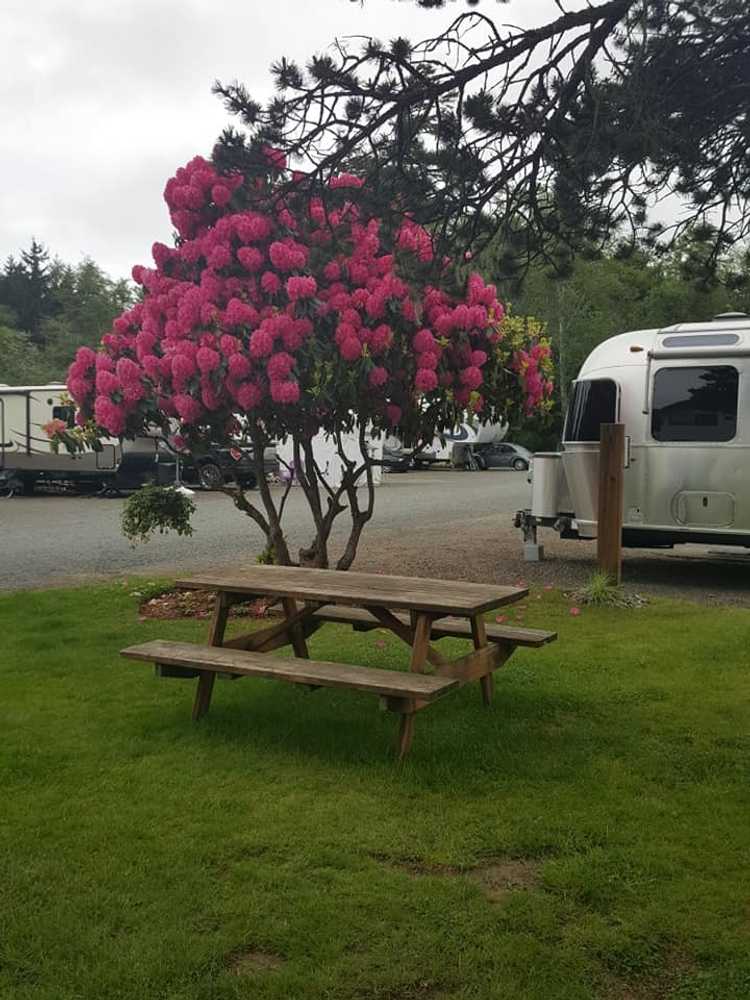 Bud's RV Park and Campground - Photo 4