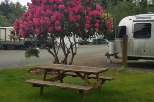 Bud's RV Park and Campground – photo 4