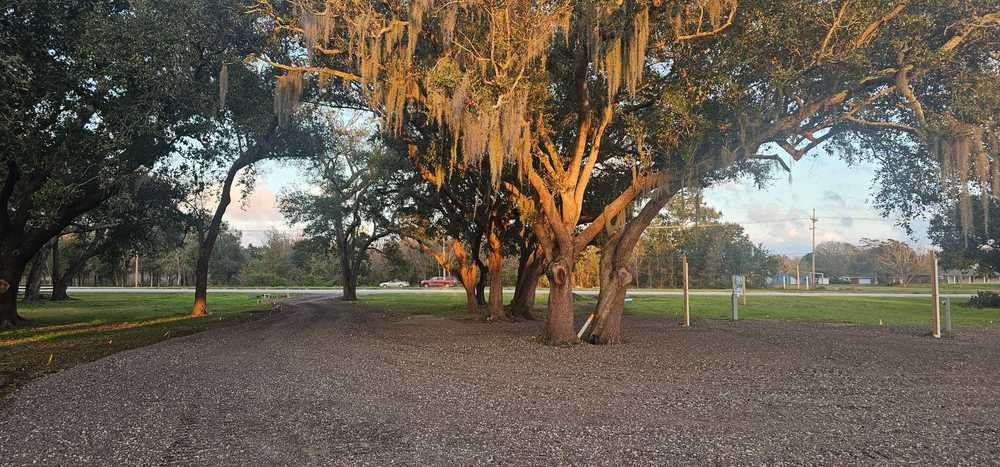 RVers Way, Buras, Louisiana - Photo 4