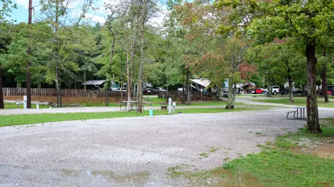 Dogwood Loop RV Site — image 2 of 4