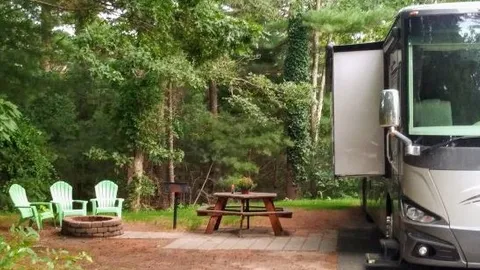 Large Glamping Full Hookup 30amp RV Site — image 1 of 1