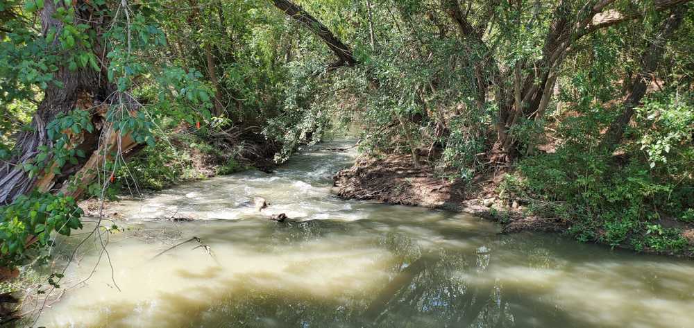Park Image 22