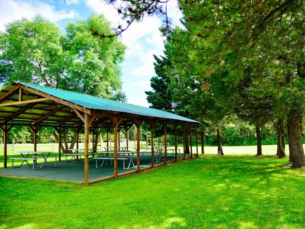 Hilah Ayers Wilderness RV Park, Mulhurst, Alberta - Photo 3