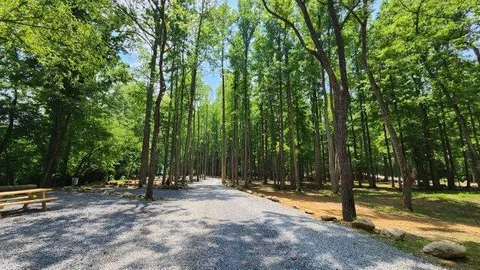 Standard Creek RV Site — image 10 of 10