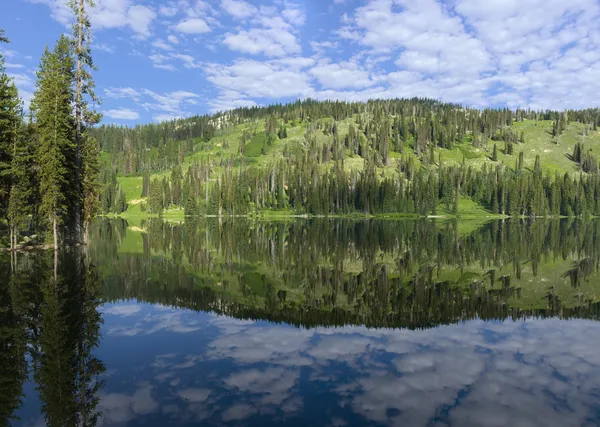 Black Bear RV Park campground