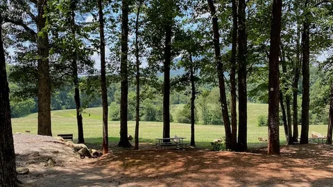 Premium/Mountain View Site — image 2 of 9