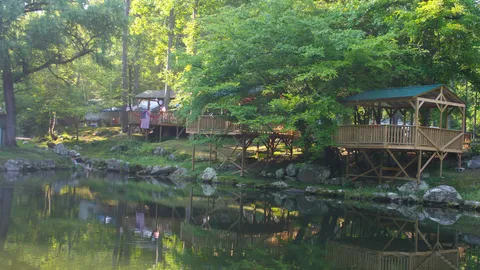 Tent Deck - Pond — image 1 of 1