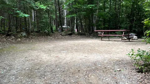 Wooded Tent Site — image 5 of 5