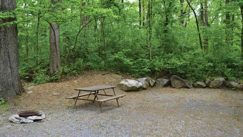 Standard RV/Tent Site — image 5 of 5