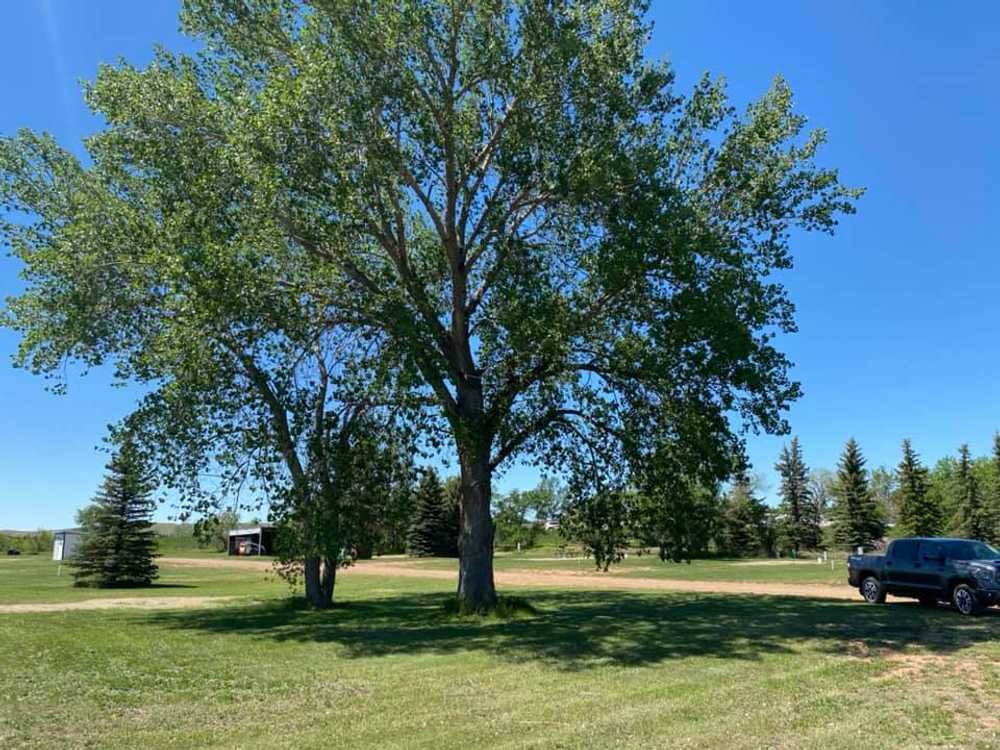 The Ridge RV Park - Photo 3