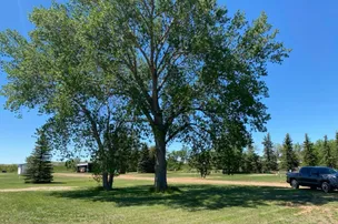 The Ridge RV Park – photo 3