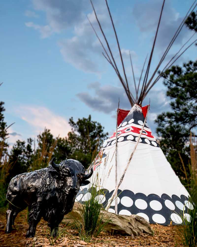 Montana Country Pines Private Vintage Retreat, Laurel, Montana - Photo 3