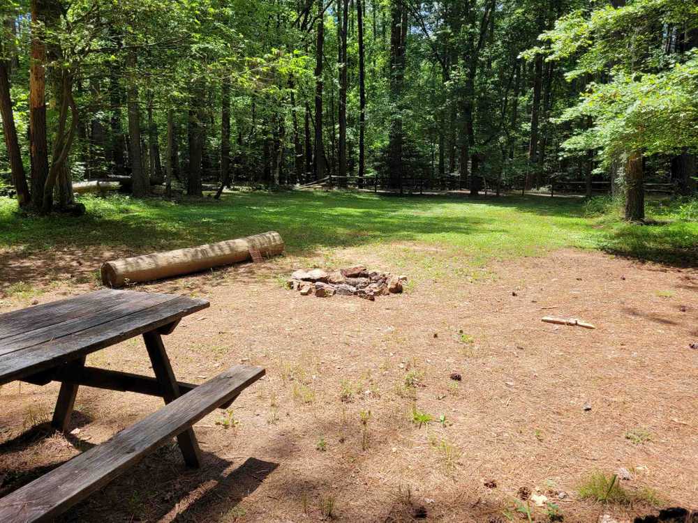 XL Group Primitive Tent Site (up to 20 people)