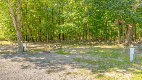 GROUP/BUDDY Full Hookup Gravel RV Site — image 2 of 3