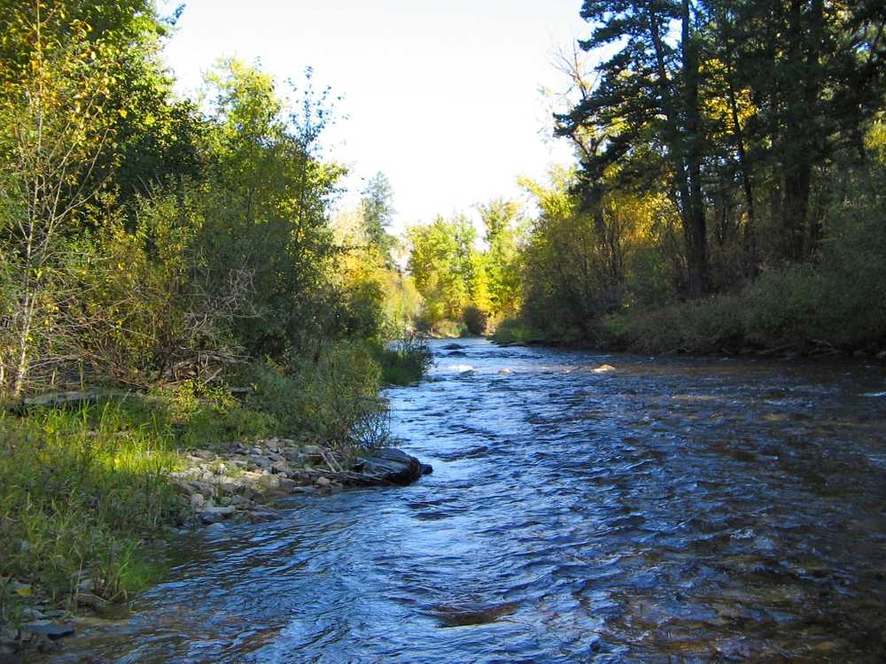 Yellowrock Campground, Lolo, Montana - Main Photo