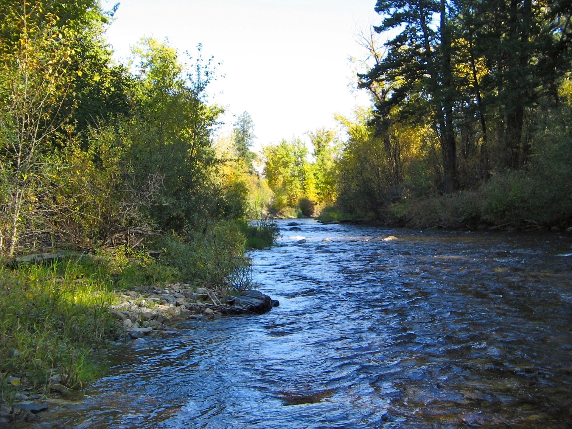 Yellowrock Campground, Lolo, Montana