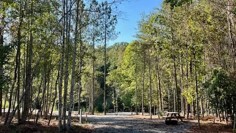 Full Hookup Pull-Through RV Site — image 4 of 4