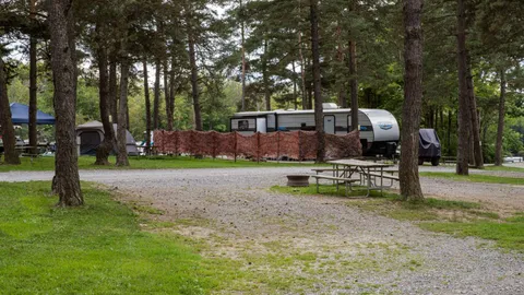 Shared Buddy Pull Thru Full Hookup RV Site — image 1 of 2
