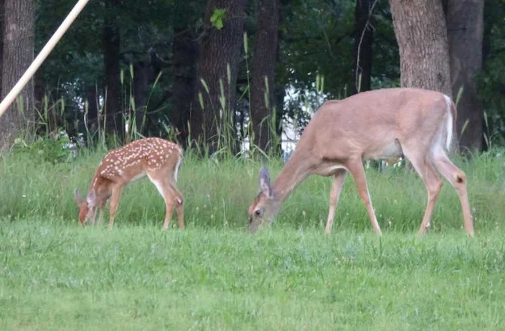 Park Image 5