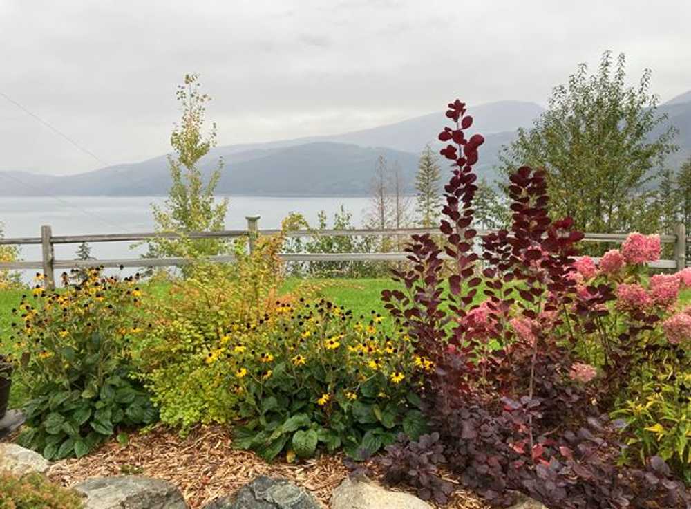 Park Image 5
