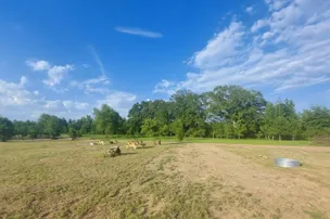 Timber Town Campground – photo 4