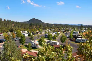 Jackson Rancheria Casino & RV Resort – photo 2