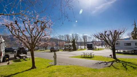 Standard Back-In RV Site — image 1 of 4