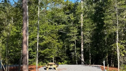 Full Hookup Back-In RV Site — image 1 of 8
