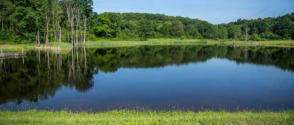 Hickory Hollow Campground - Photo 5