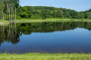 Hickory Hollow Campground – photo 5