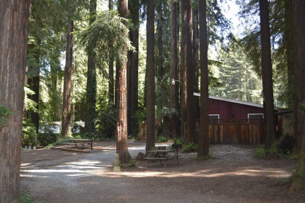 Santa Cruz Redwoods RV Resort, Felton, California - Photo 3