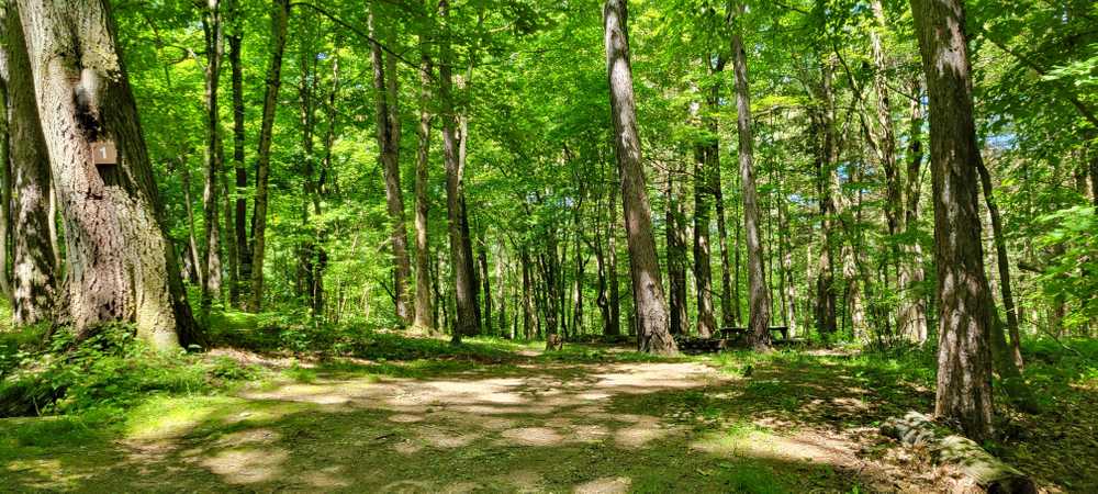 Windmill Hill, Litchfield, Connecticut - Photo 2