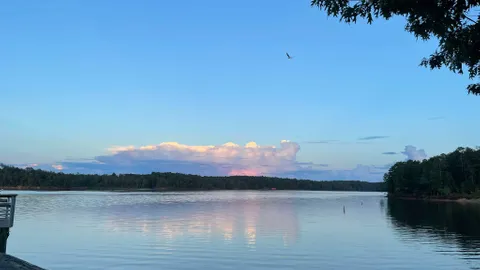 50 AMP Savannah River Interior Pull-Thru Campsite — image 1 of 6