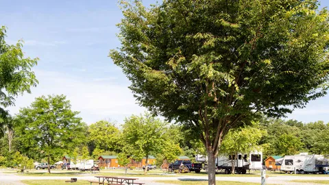 Premium RV Site (Buddy Site) — image 2 of 6