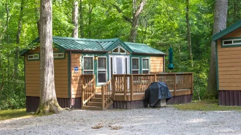 Yogi Bear™ Cabin — image 1 of 8