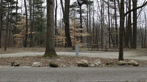 Electric/Water Campsite — image 2 of 12