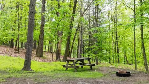 Rustic Tent — image 2 of 4