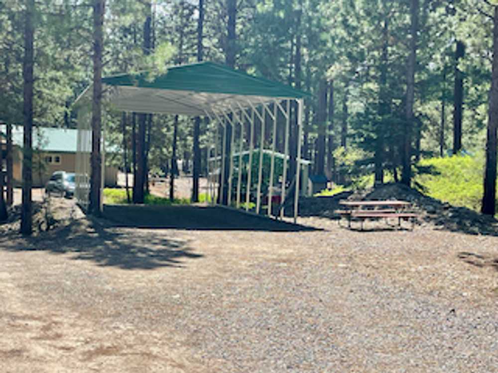 Park Image 5