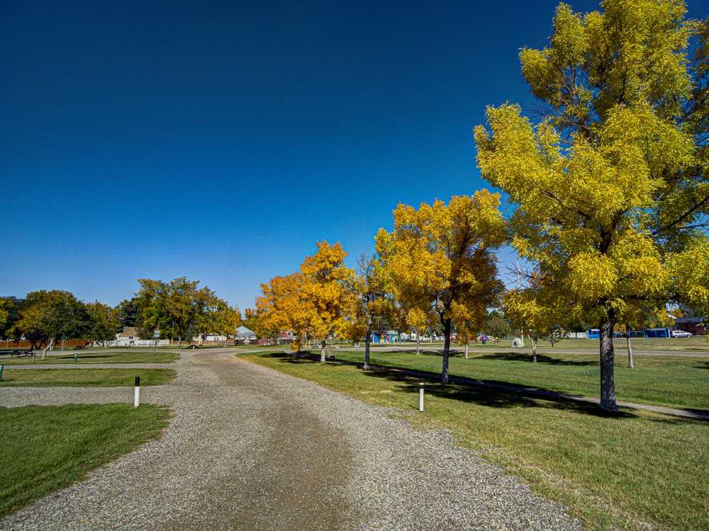 Park Image 5