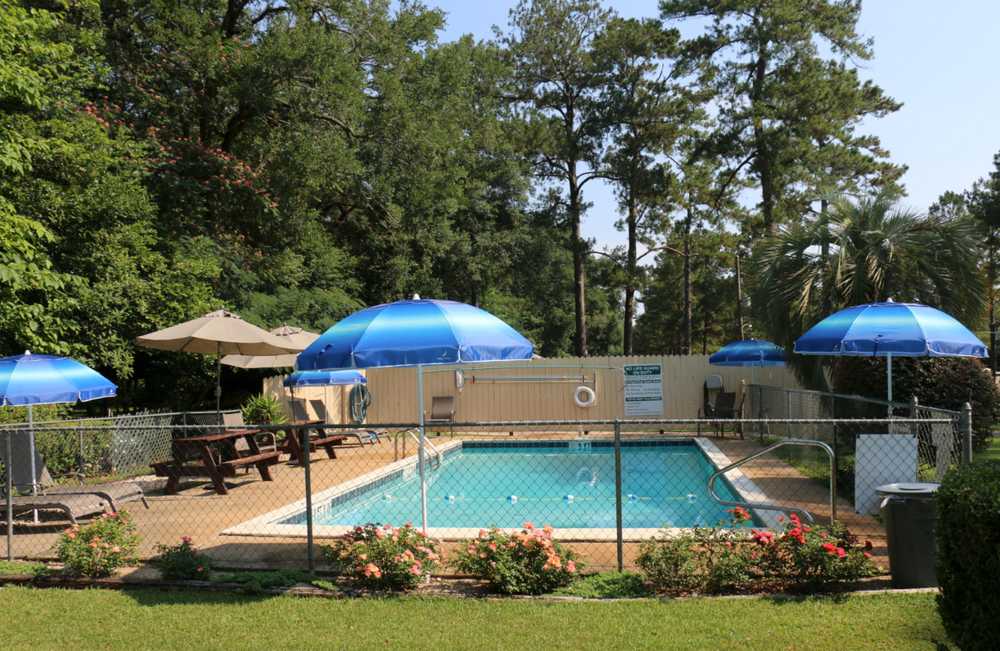 Tallahassee RV Park - Photo 3