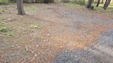 Dry Camp — image 1 of 1