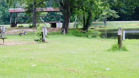 Lakefront RV Sites — image 1 of 3