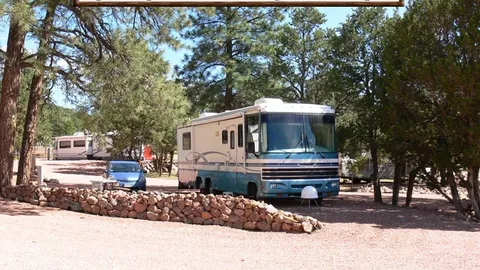Premium Pull-Through RV Site — image 2 of 7