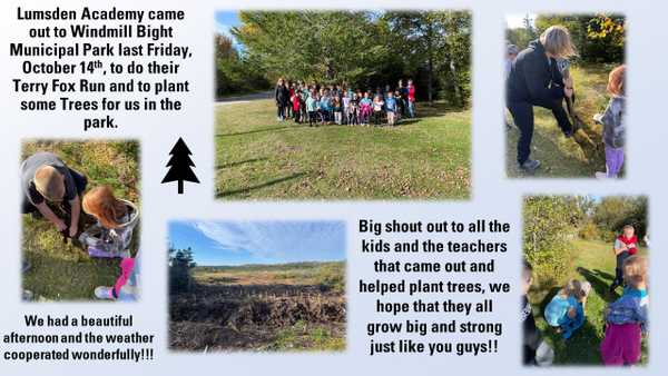 Tree Planting in Windmill Bight Municipal Park