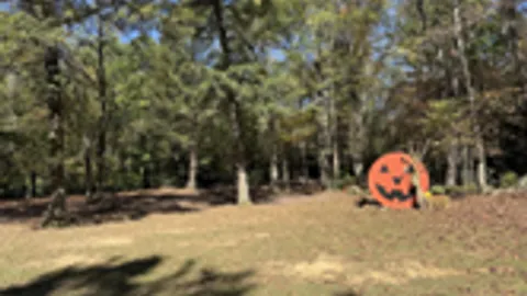 wooded tent site — image 2 of 5